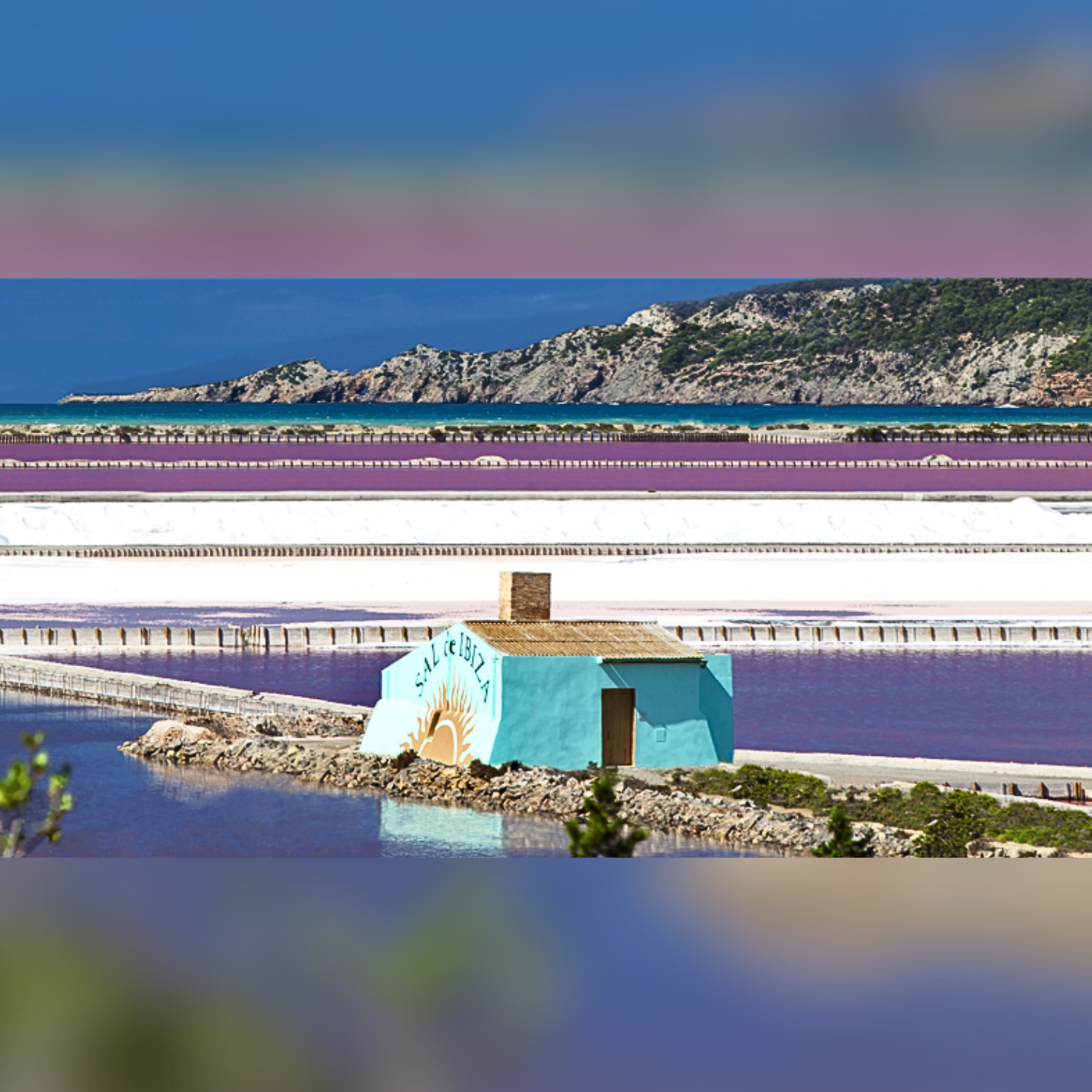 Salzstreuer Zweierpack: Reines Meersalz und Meersalz mit Hibiskus, 125g und 90g