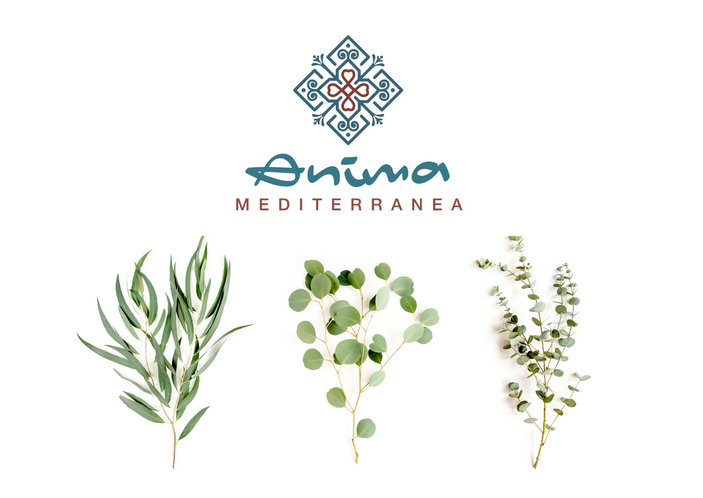 Ànima Mediterrànea Geschenkgutscheine