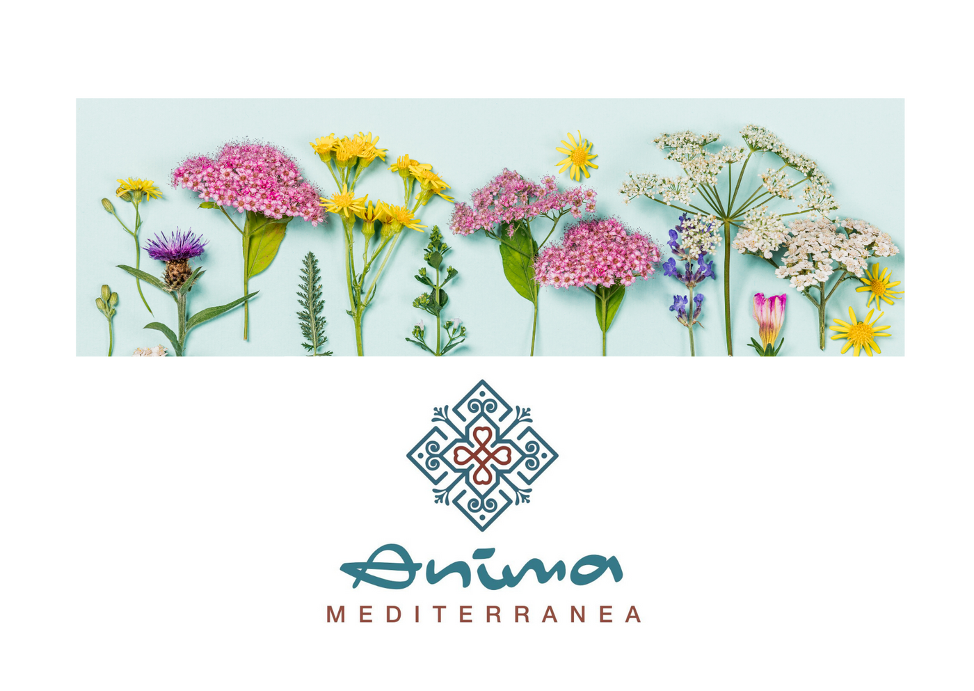 Ànima Mediterrànea Geschenkgutscheine